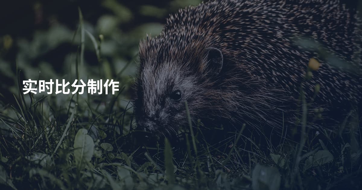 实时比分制作