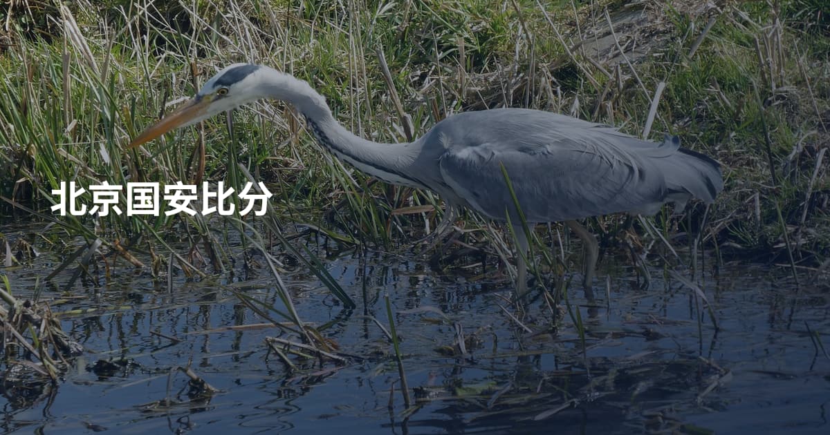 北京国安比分