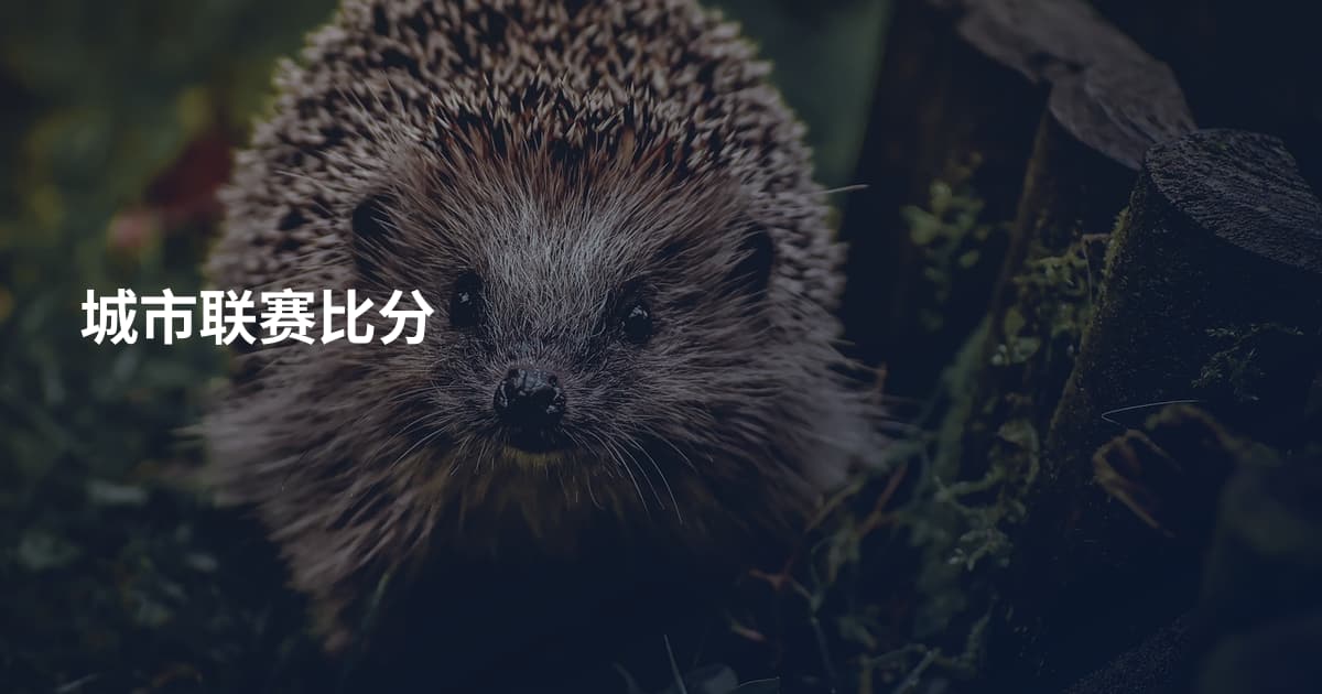 城市联赛比分