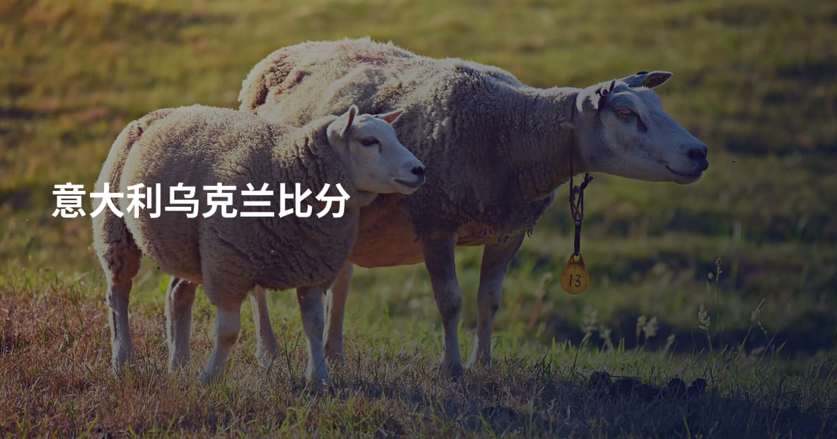 意大利乌克兰比分