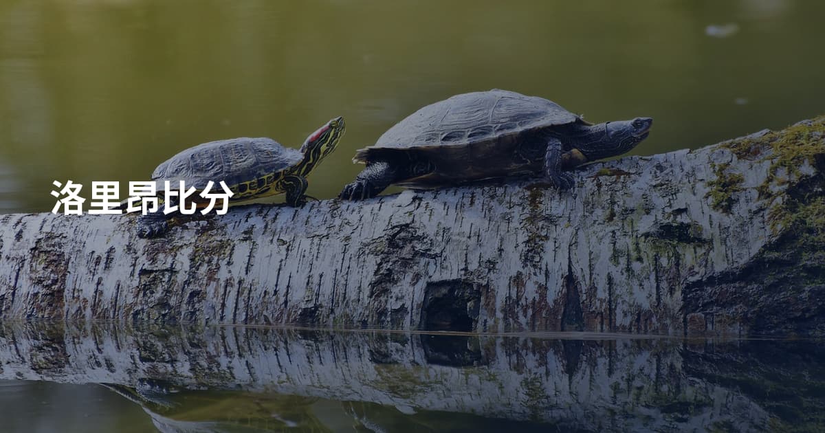 洛里昂比分