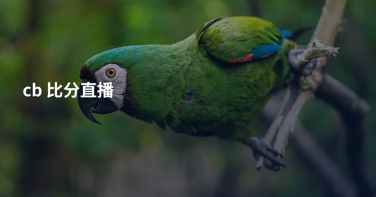 cb 比分直播