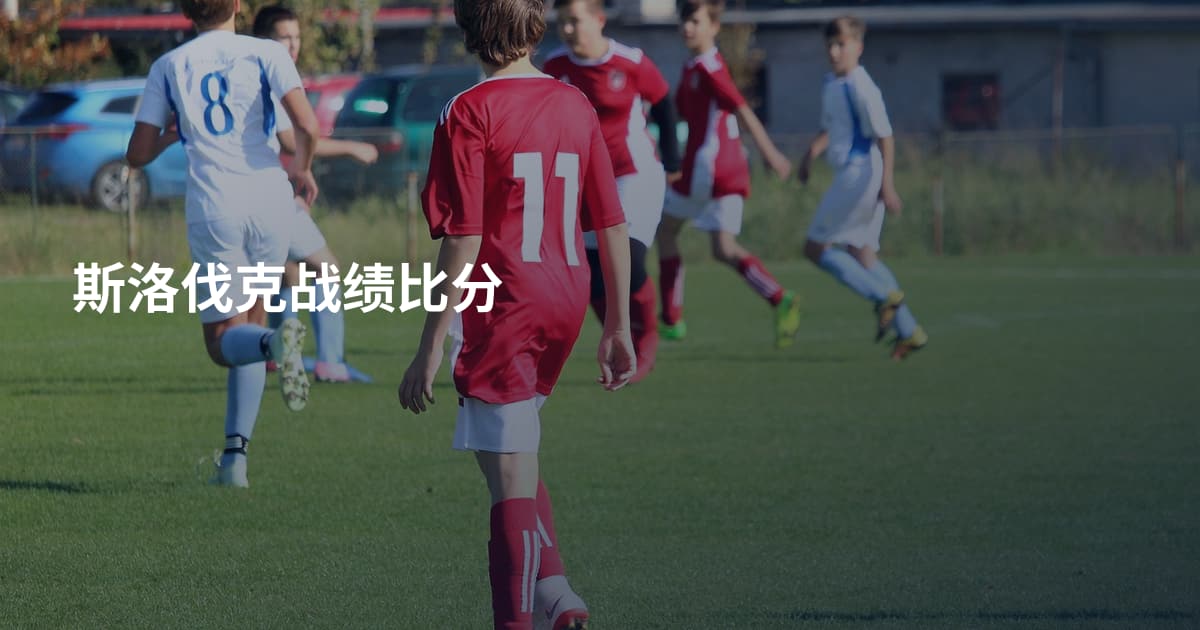 斯洛伐克战绩比分