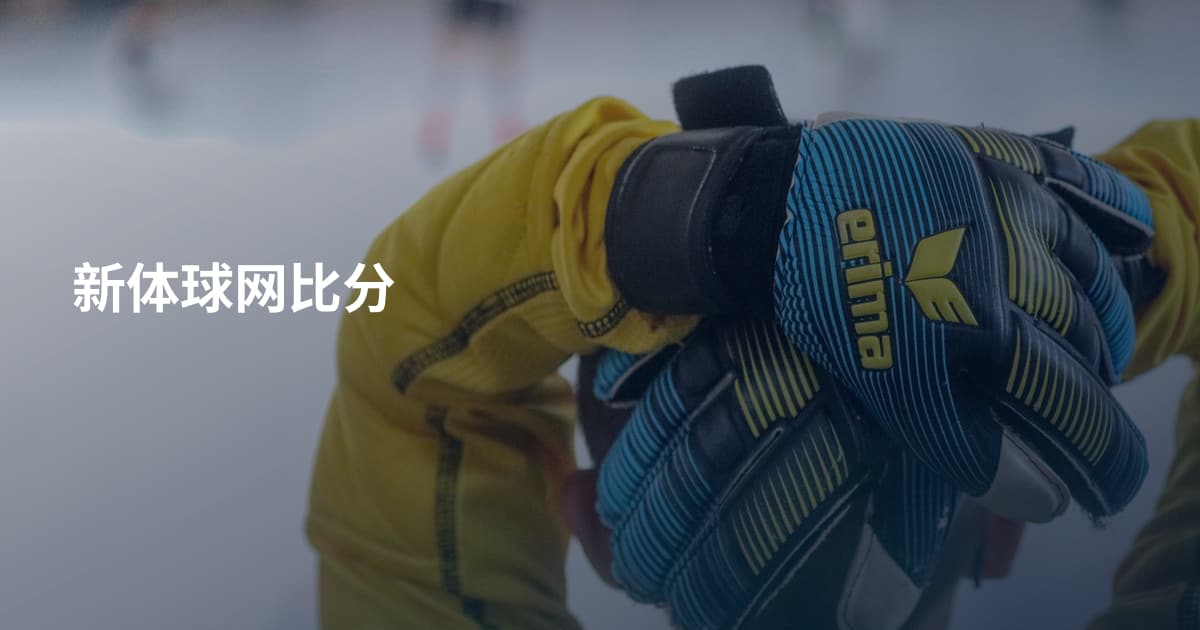 新体球网比分