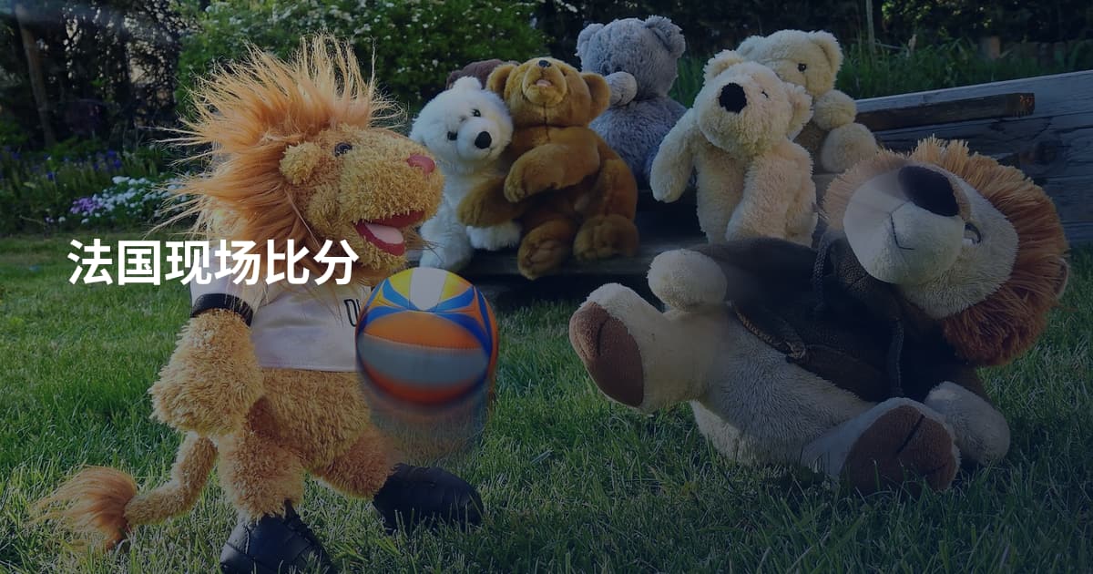法国现场比分