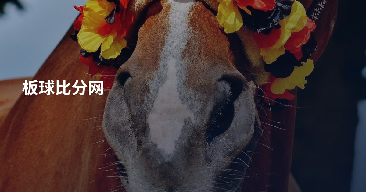 板球比分网