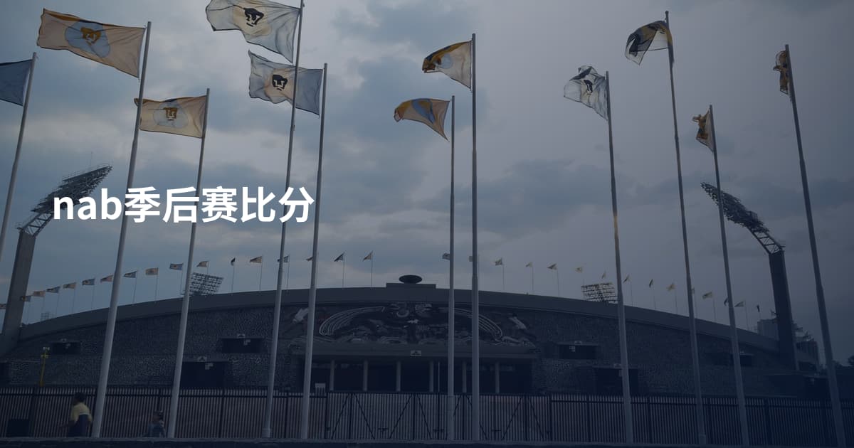 nab季后赛比分