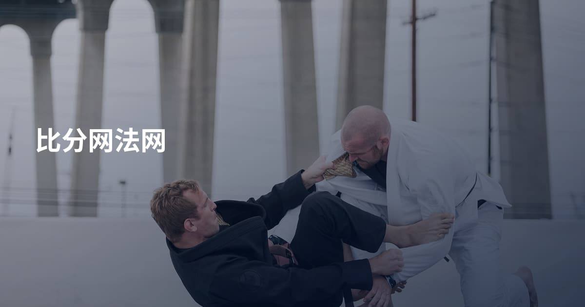 比分网法网