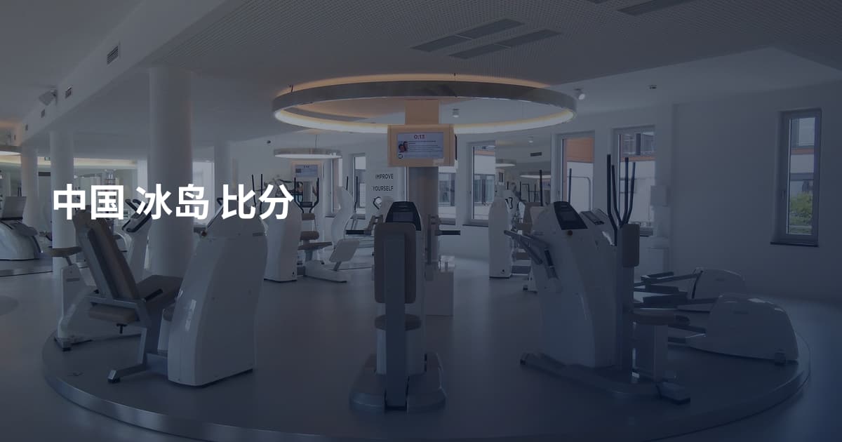 中国 冰岛 比分
