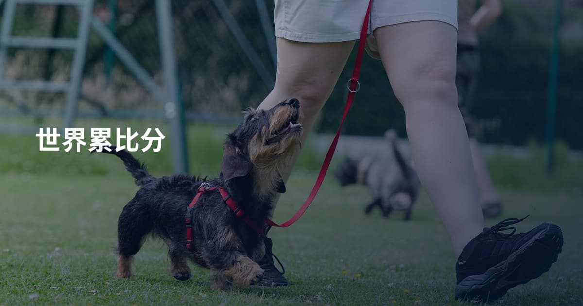 世界累比分