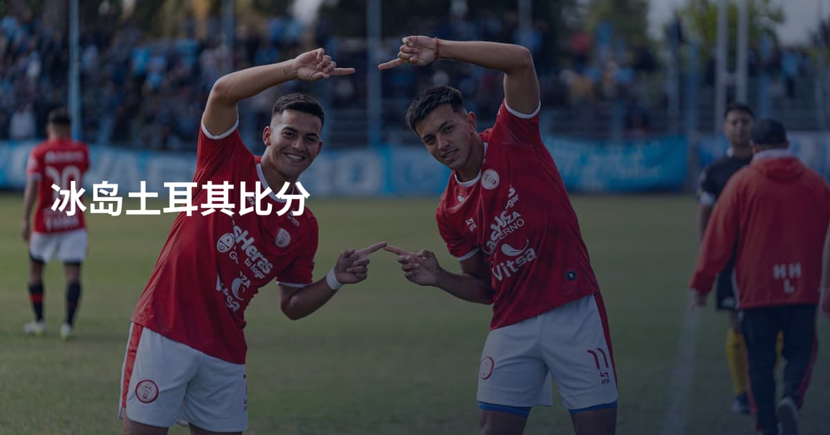 冰岛土耳其比分