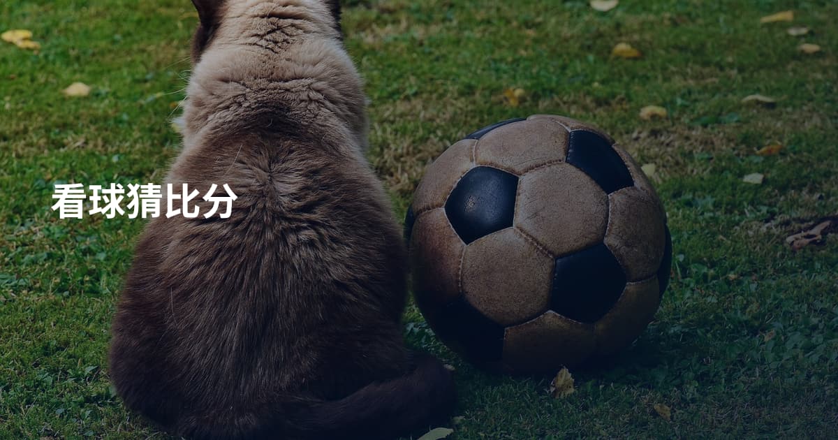 看球猜比分
