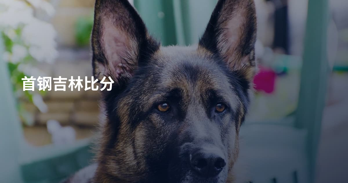 首钢吉林比分