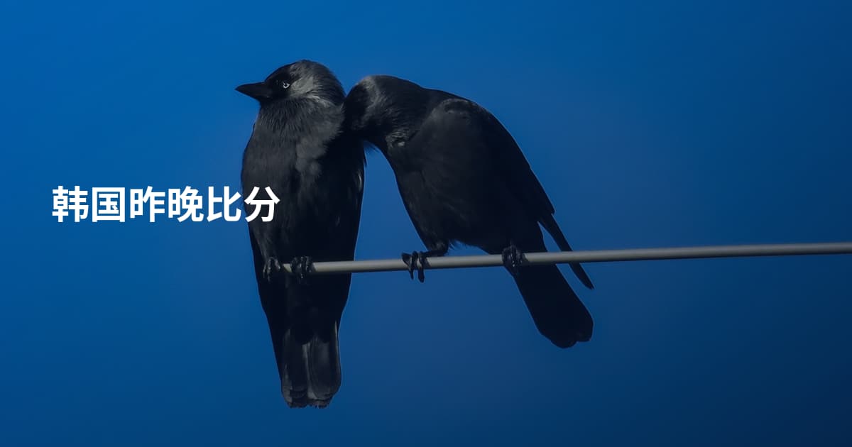 韩国昨晚比分