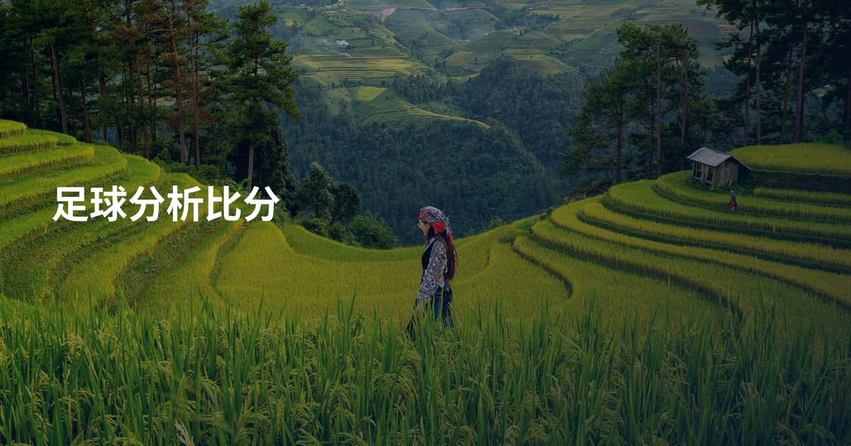 足球分析比分