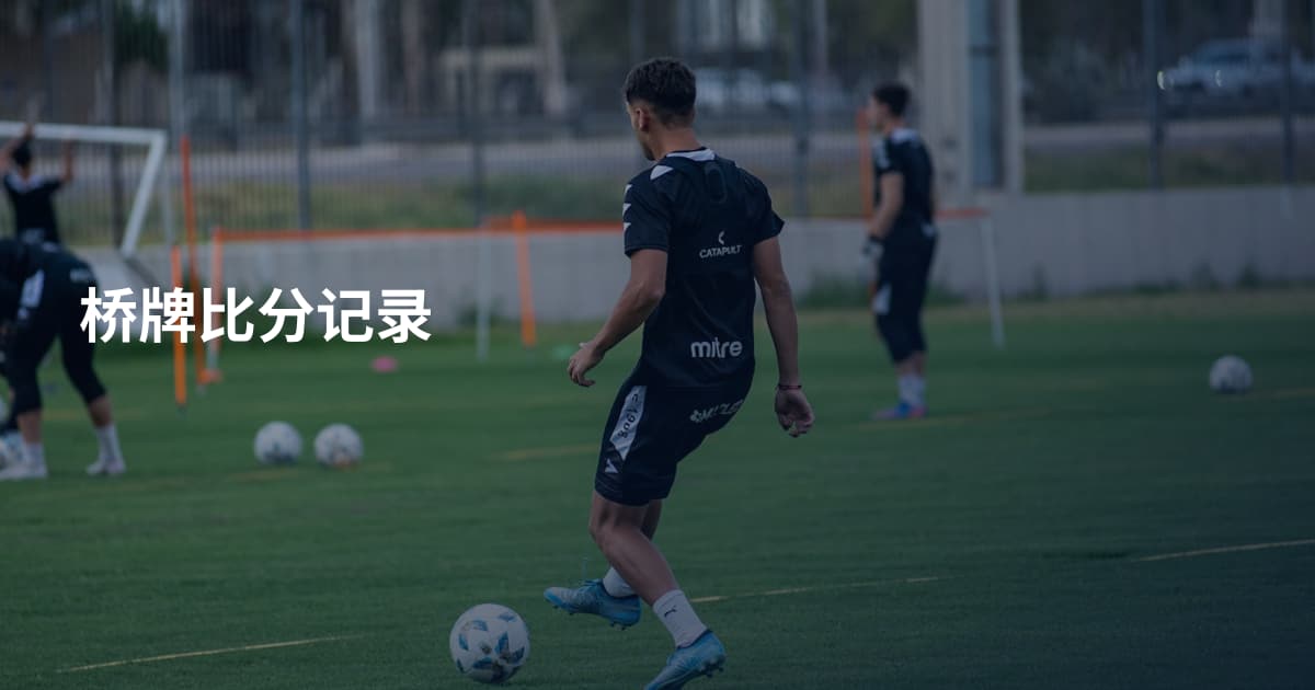 桥牌比分记录