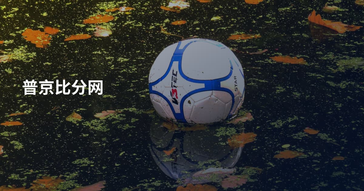 普京比分网