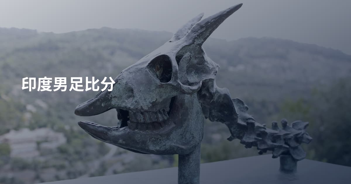 印度男足比分