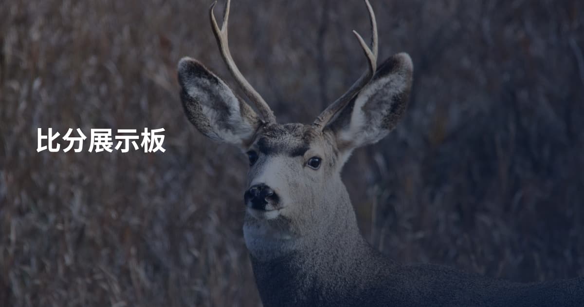 比分展示板