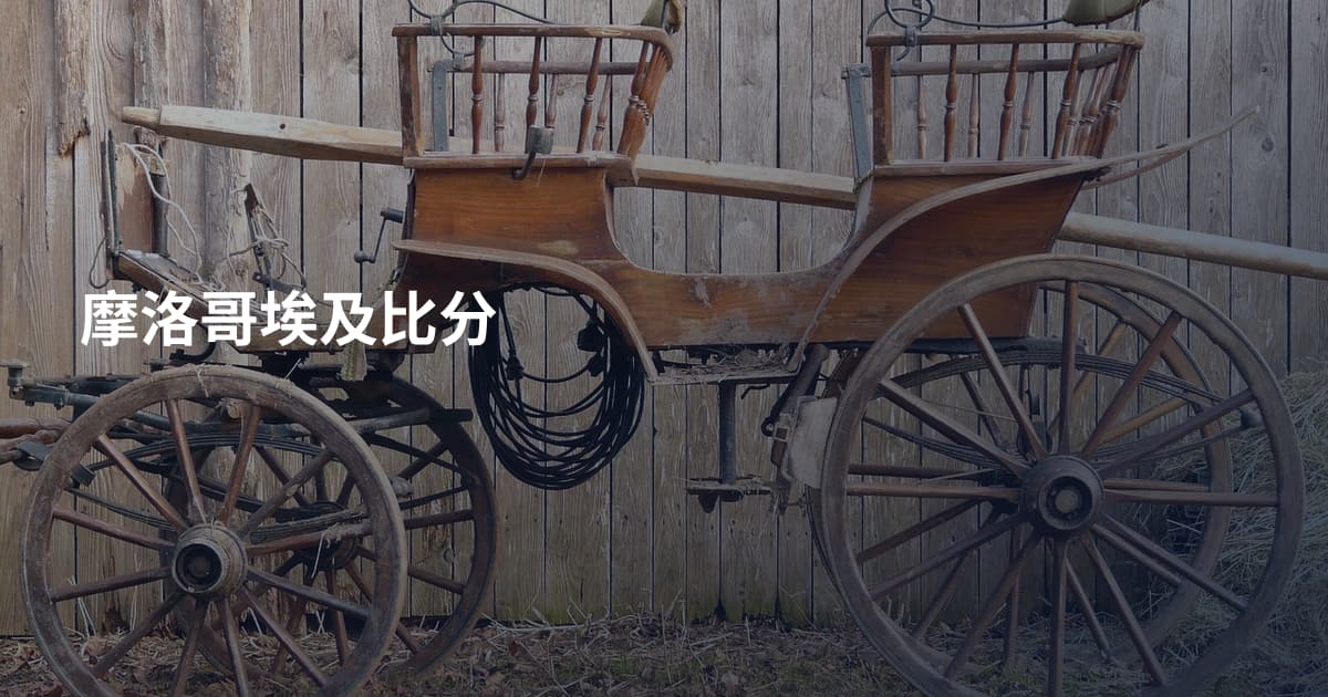 摩洛哥埃及比分