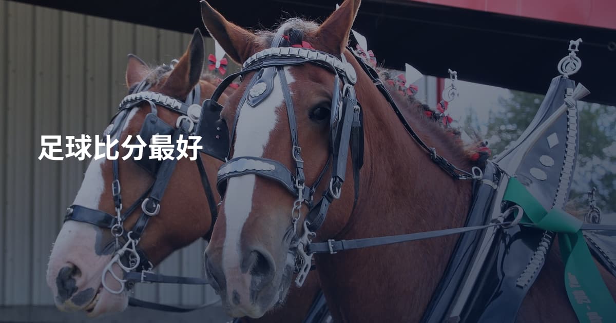 足球比分最好