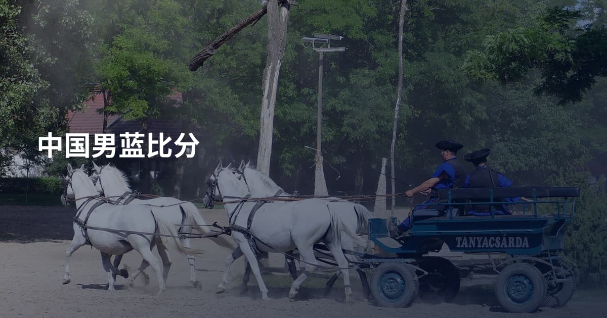 中国男蓝比分