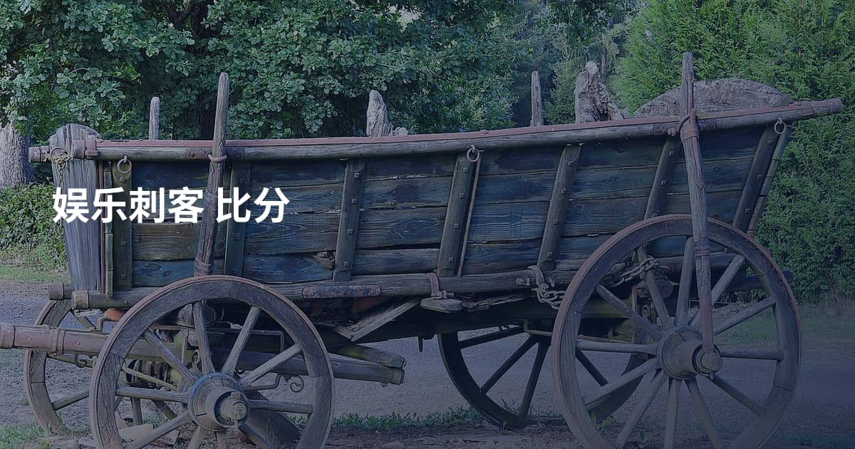 娱乐刺客 比分