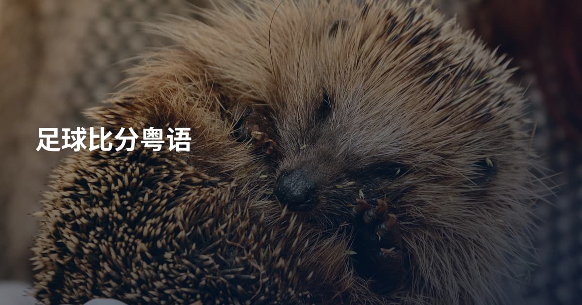 足球比分粤语