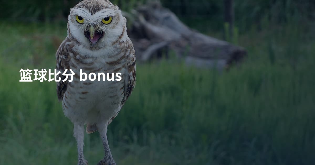 篮球比分 bonus
