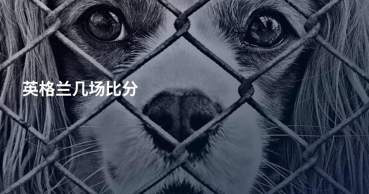 英格兰几场比分