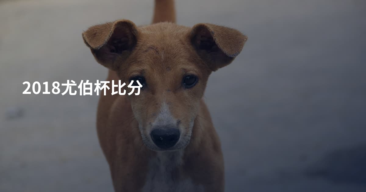 2018尤伯杯比分