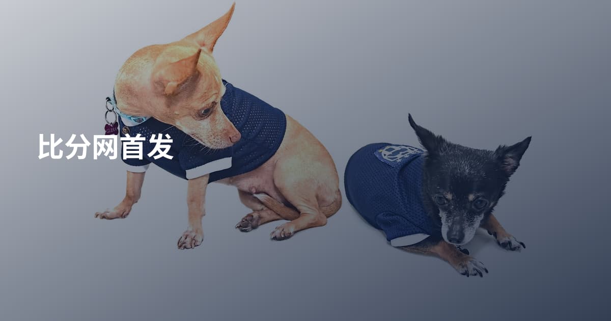 比分网首发