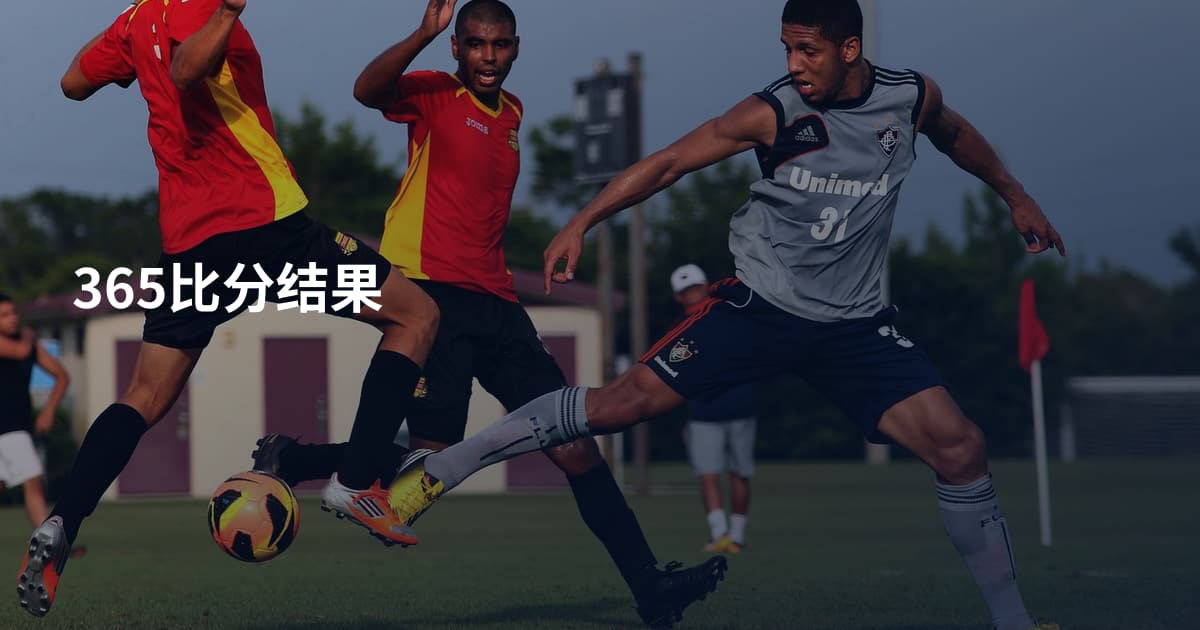 365比分结果