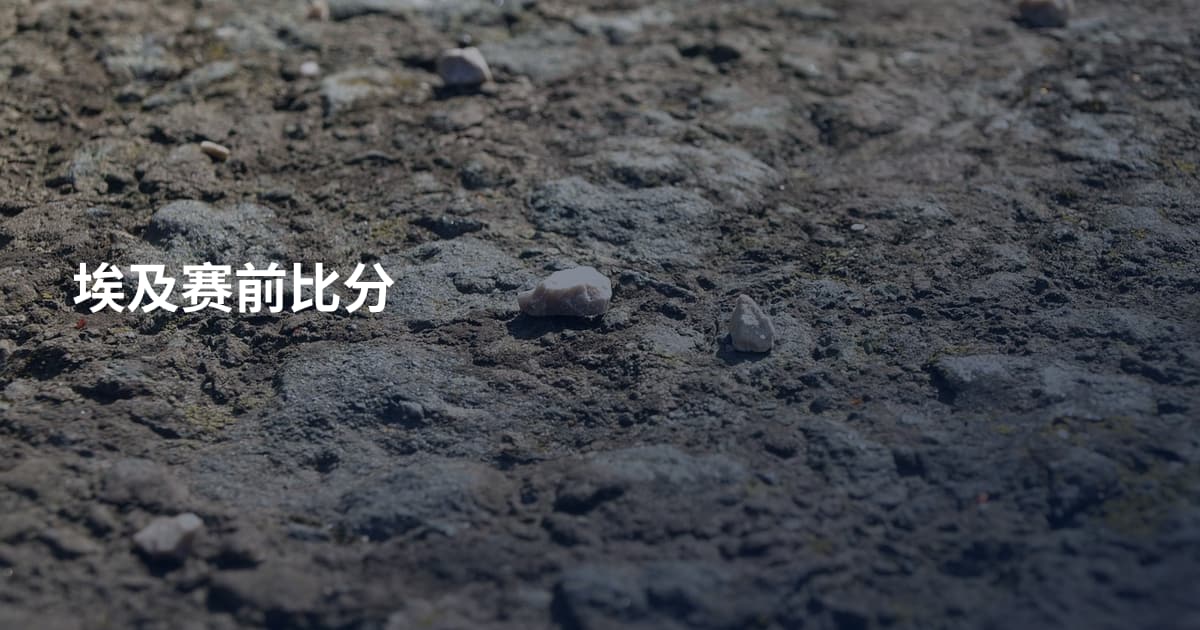 埃及赛前比分