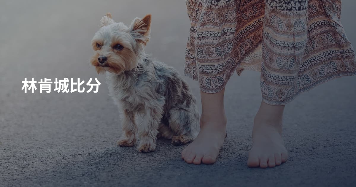 林肯城比分