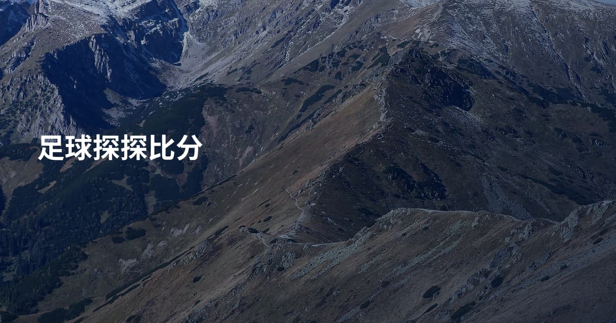 足球探探比分