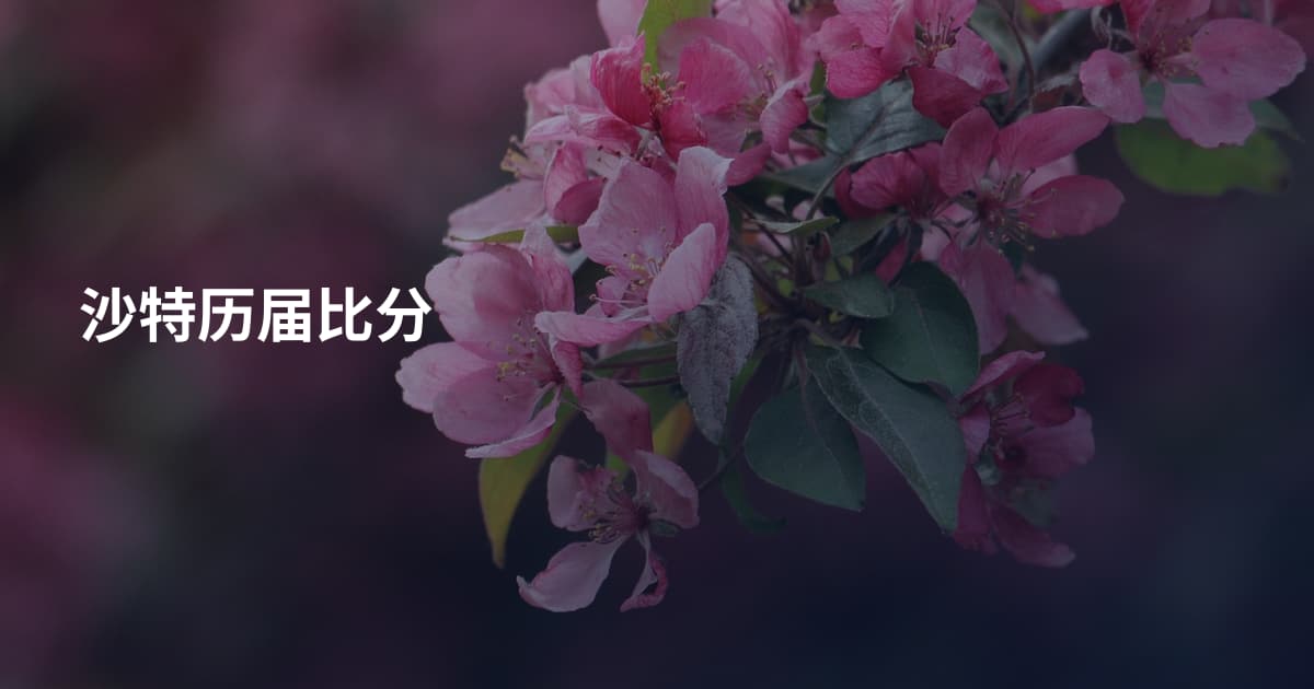 沙特历届比分
