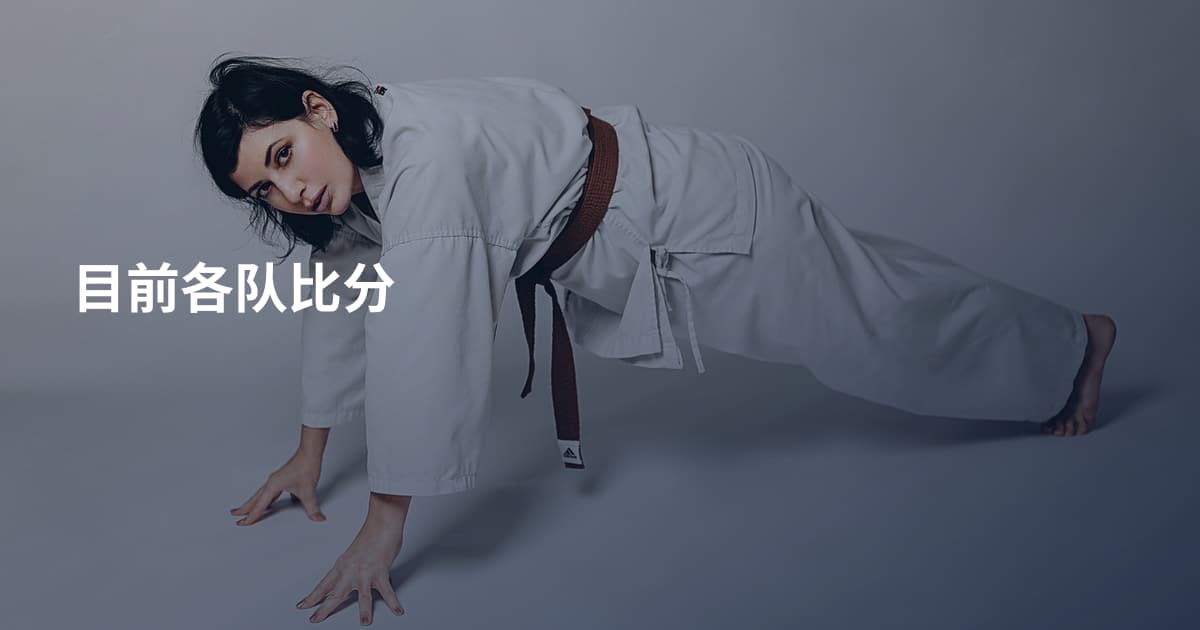 目前各队比分