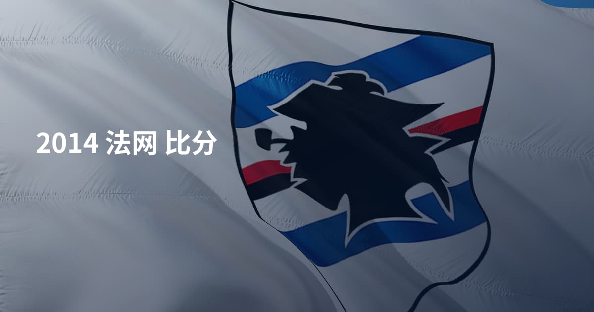 2014 法网 比分