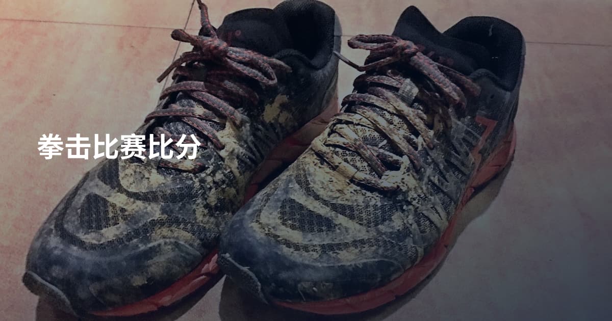拳击比赛比分