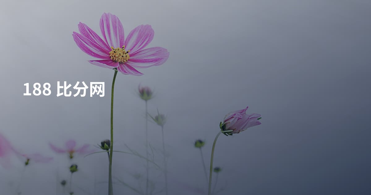 188 比分网