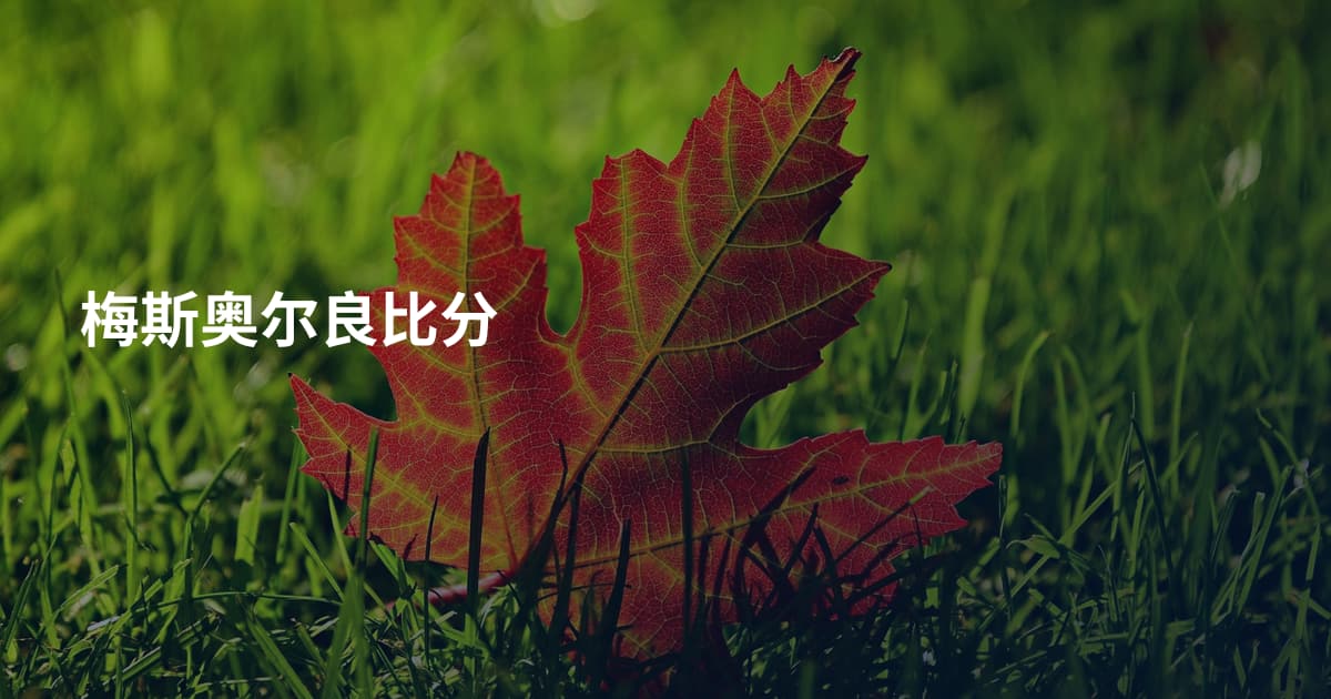 梅斯奥尔良比分