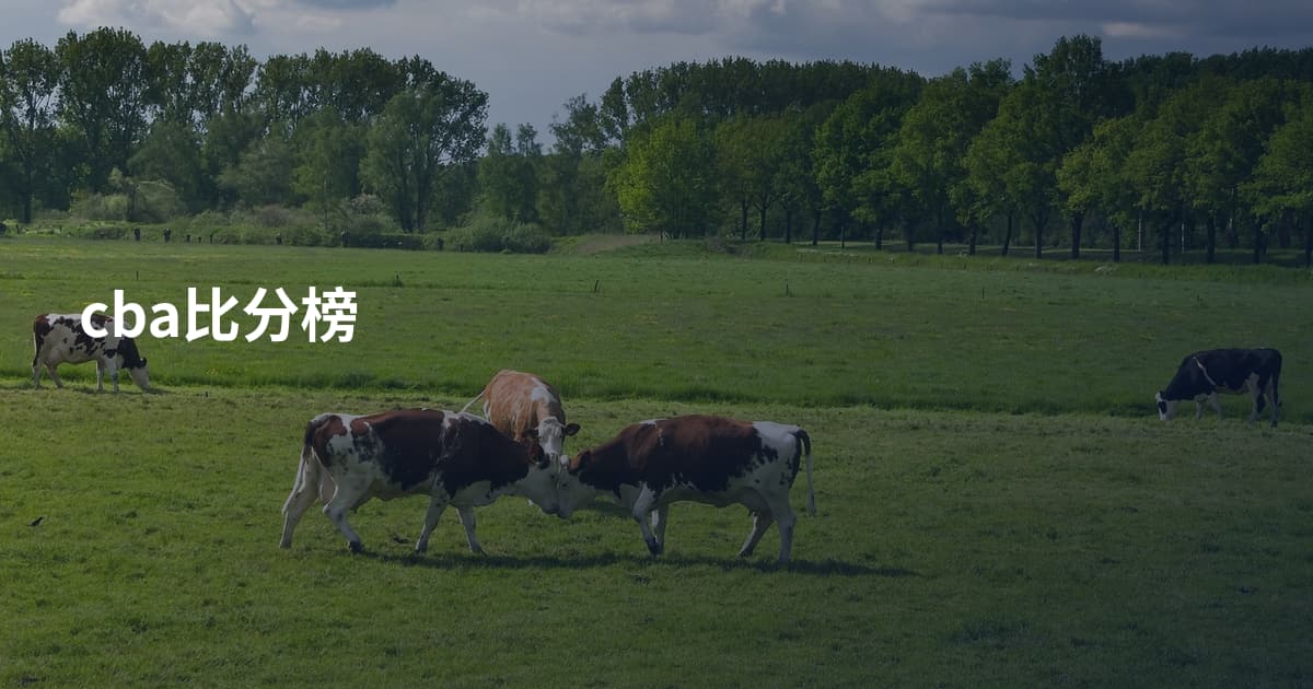 cba比分榜