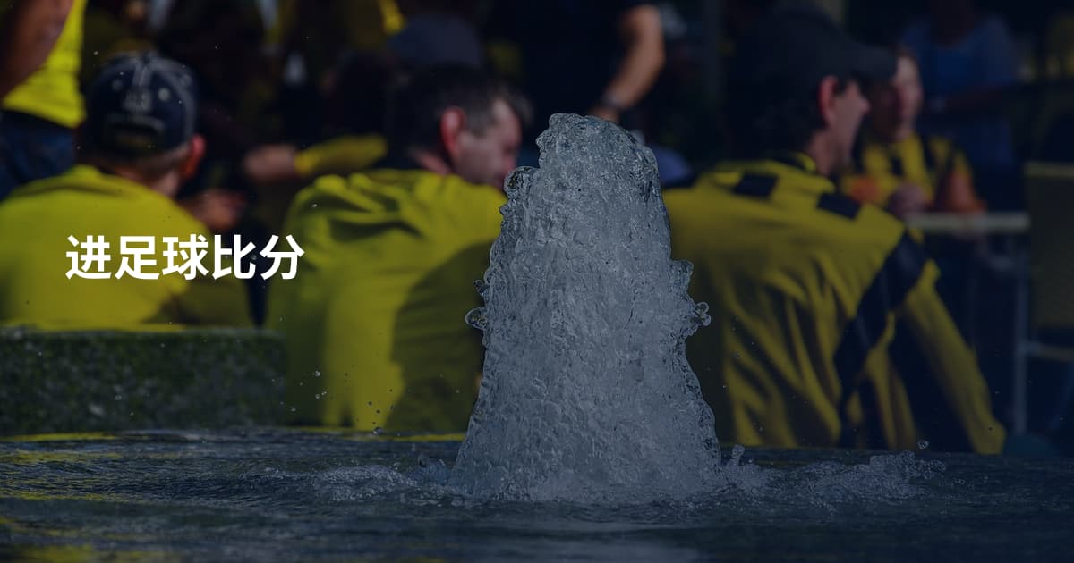 进足球比分