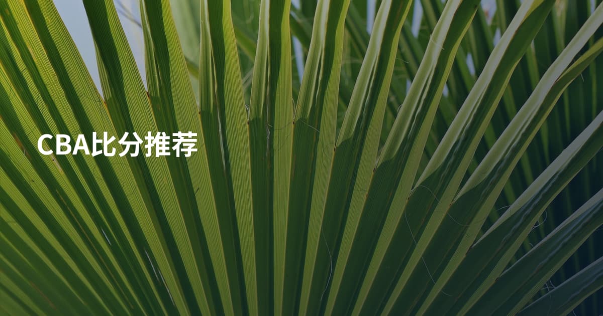 CBA比分推荐