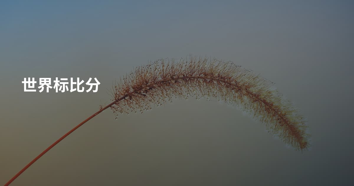 世界标比分