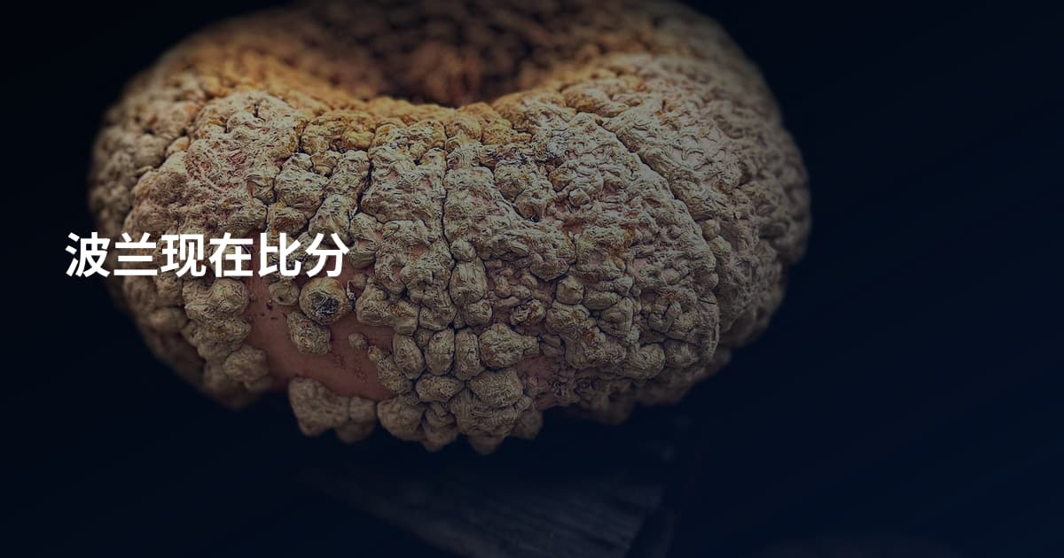 波兰现在比分