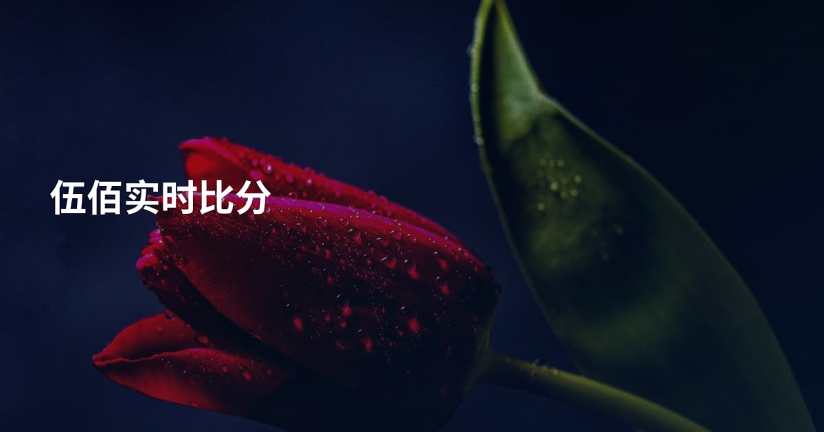 伍佰实时比分