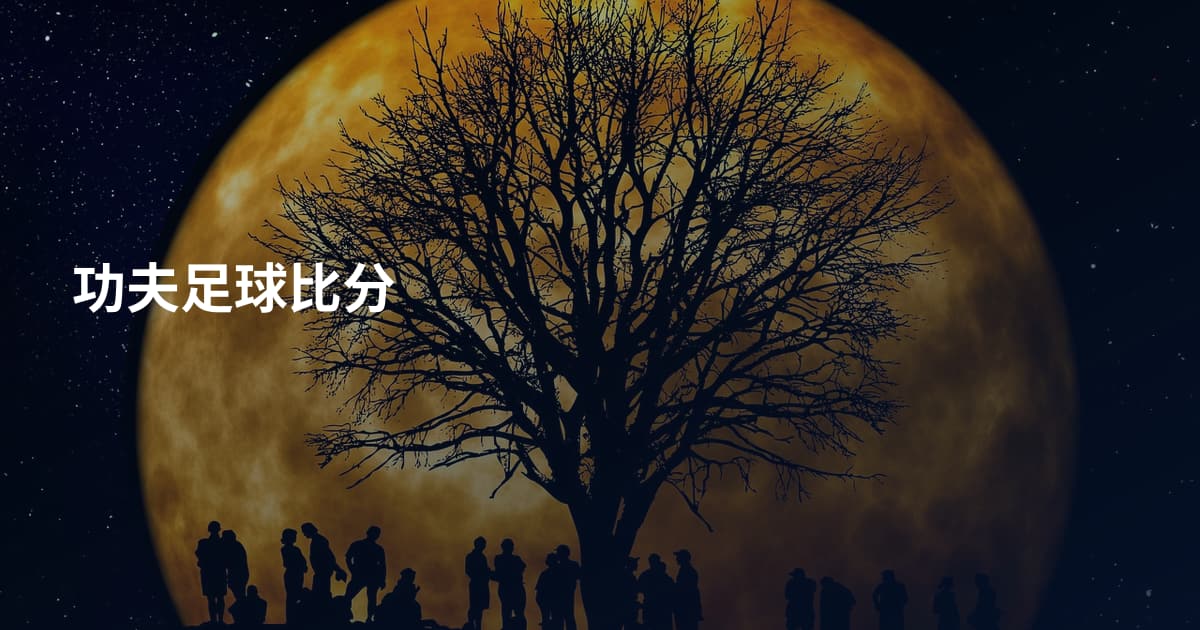 功夫足球比分