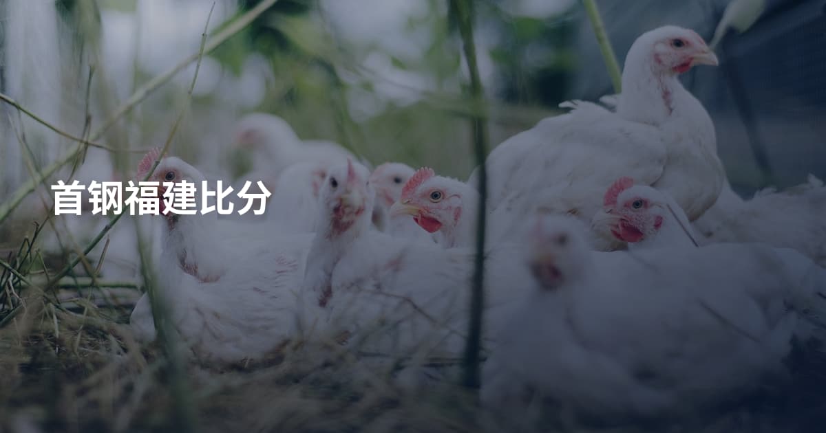 首钢福建比分